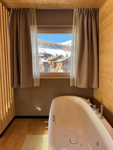 hotel damelis adults only