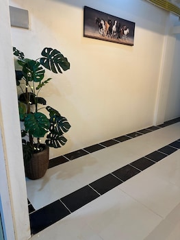 limetree loft guesthouse