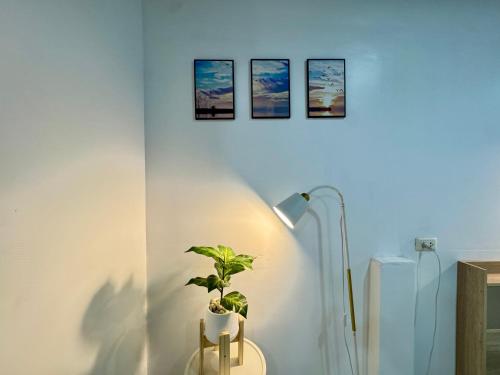 limetree loft guesthouse