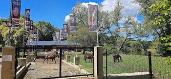 emkhosini royal sun