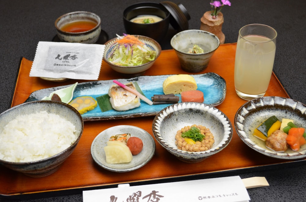 kumamoto hotel castle