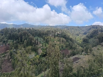 pulmo guesthouse bromo