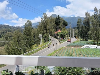 pulmo guesthouse bromo