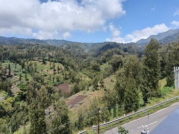 pulmo guesthouse bromo