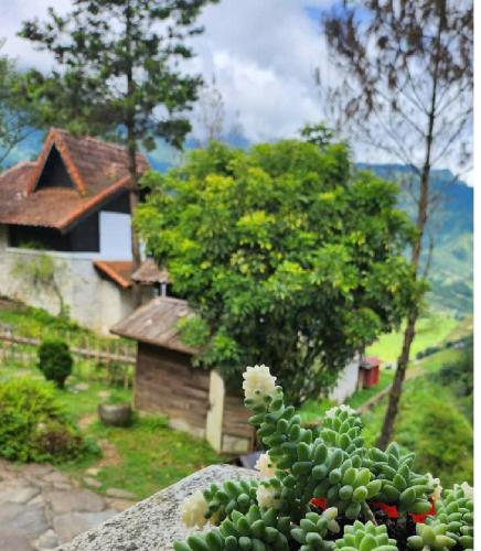 heaven house sapa