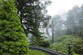 bracknell resort munnar
