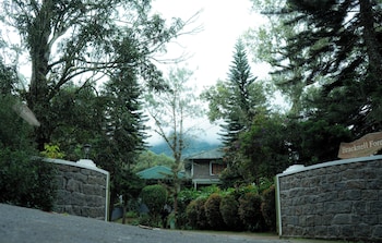 bracknell resort munnar