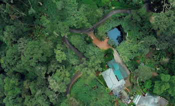 bracknell resort munnar