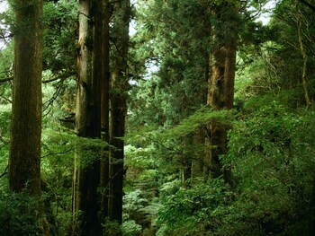 geospot motohakone b