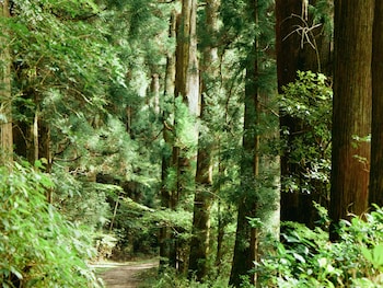 geospot motohakone b