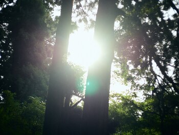 geospot motohakone b