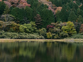 geospot motohakone b