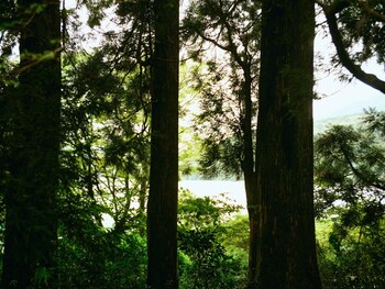geospot motohakone b