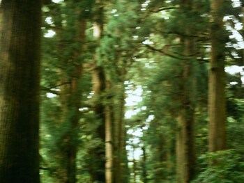 geospot motohakone b