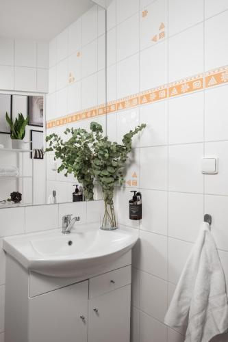 enjoy downtown boutique apartments 12 by goodnite cz