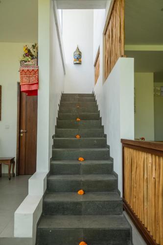 kemari ubud