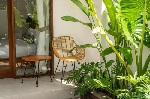 kemari ubud
