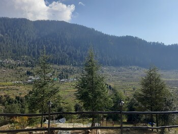 himalayan baseraa