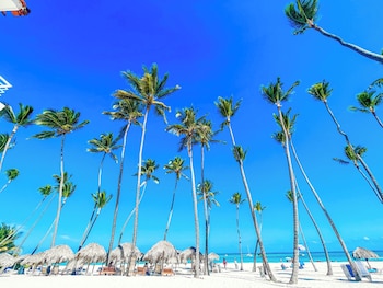 beach fun and life