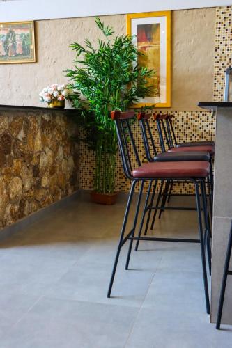 savanna68 hotel