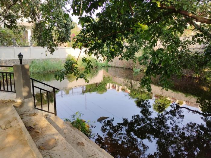 mansarovar bungalows