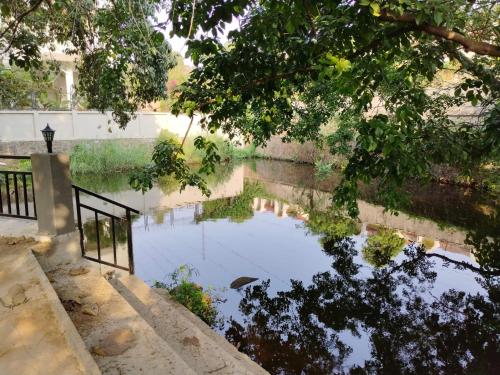 mansarovar bungalows