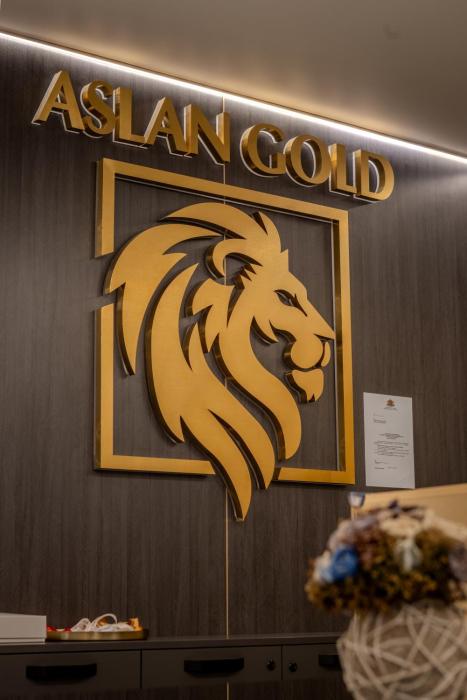 aslan gold hotel