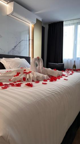 aslan gold hotel