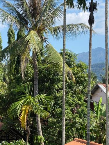fides boutique hotel