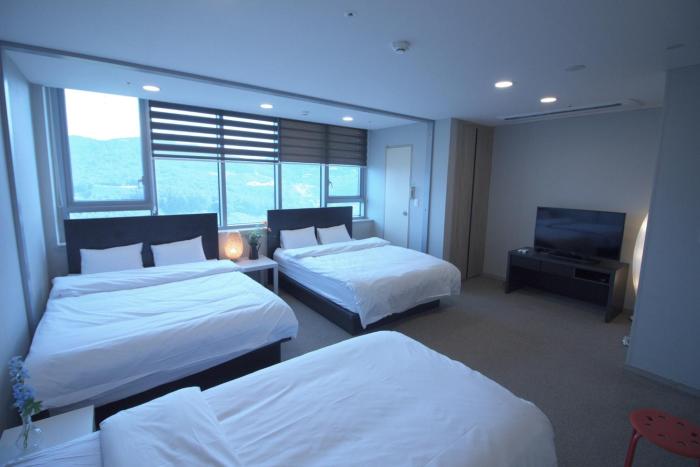 the comfort triny hotel