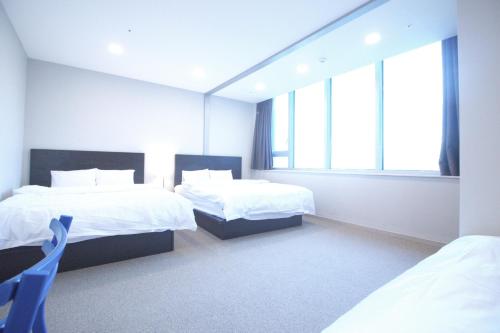 the comfort triny hotel