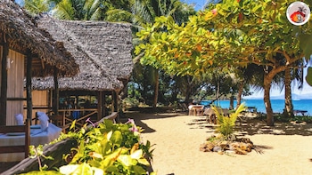djema forest