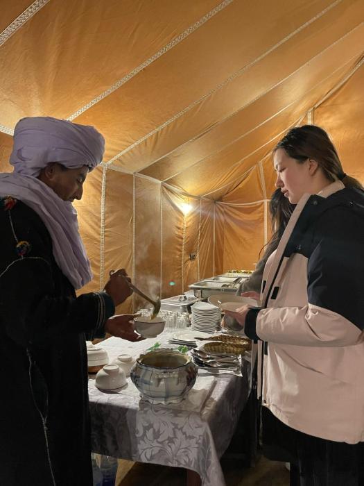 unique sahara camp