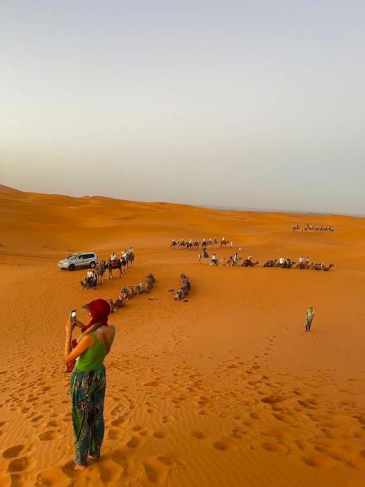 unique sahara camp