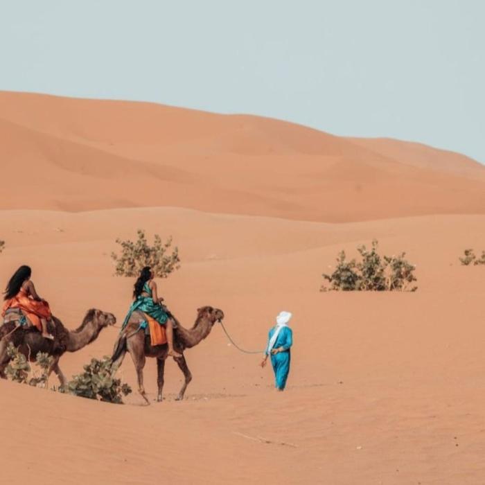 unique sahara camp