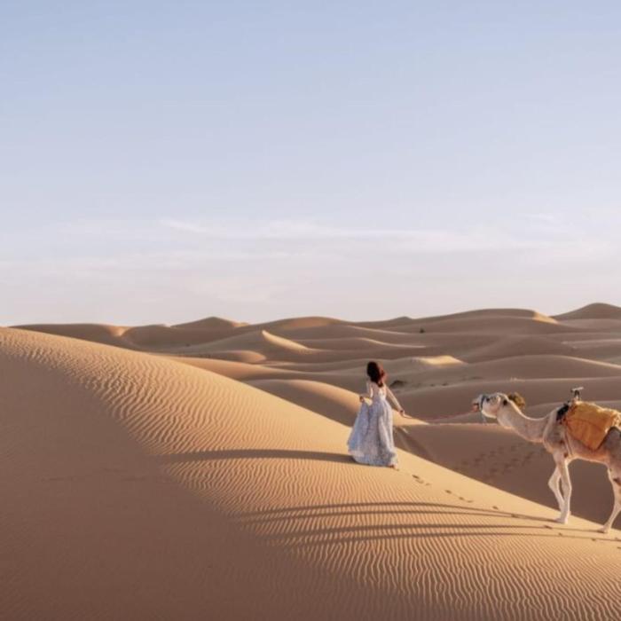 unique sahara camp