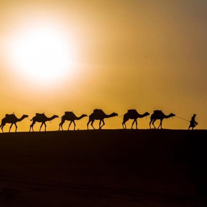 unique sahara camp