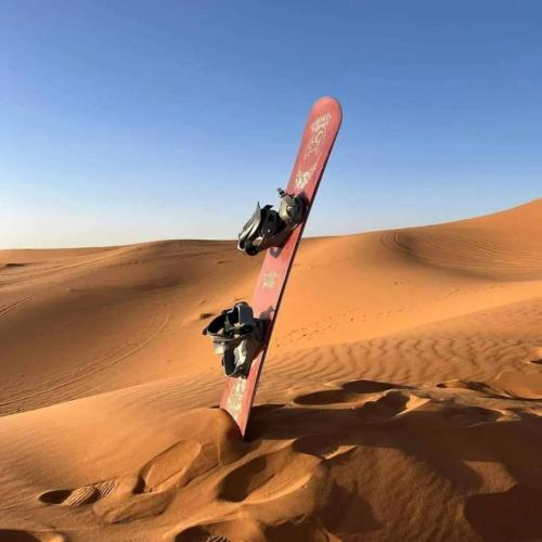 unique sahara camp