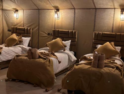 unique sahara camp