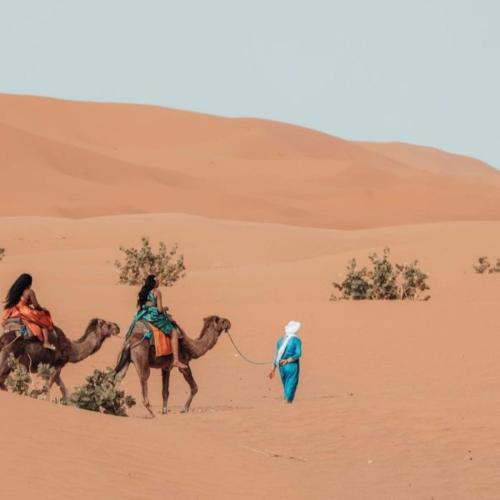 unique sahara camp