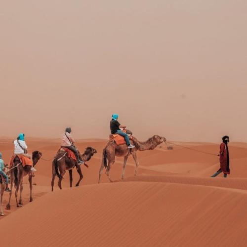 unique sahara camp
