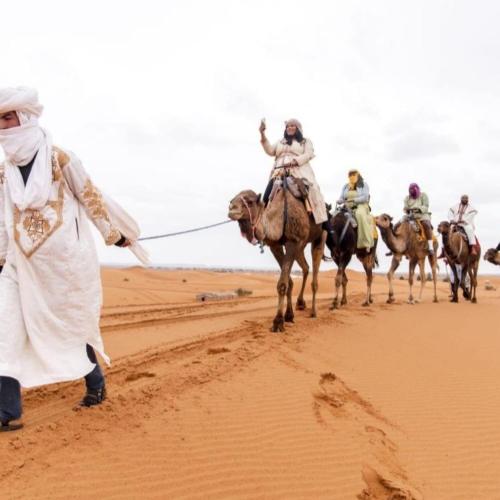 unique sahara camp