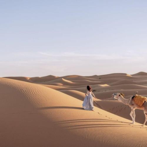 unique sahara camp