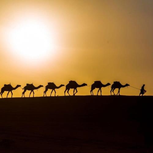 merzouga