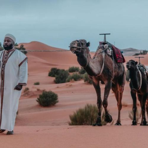 merzouga