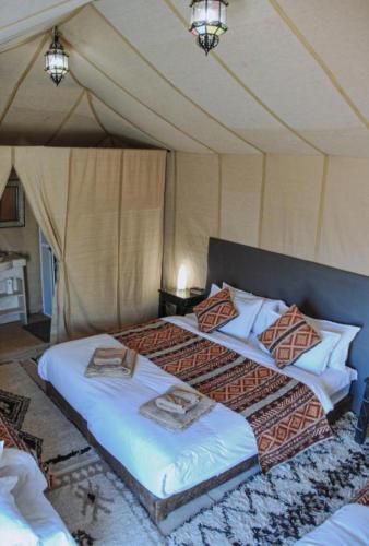 unique sahara camp