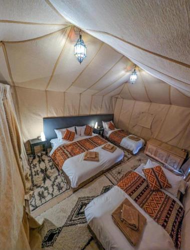 unique sahara camp