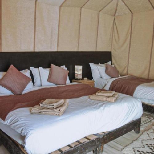 unique sahara camp