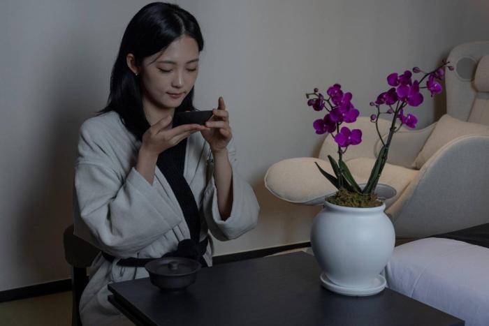 mitasuya ryokan and hotel daejeon yongjeon