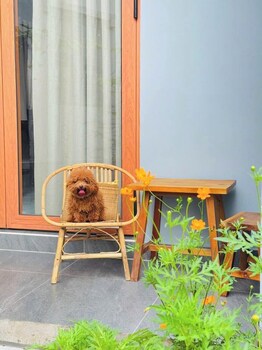 t house homestay tien giang